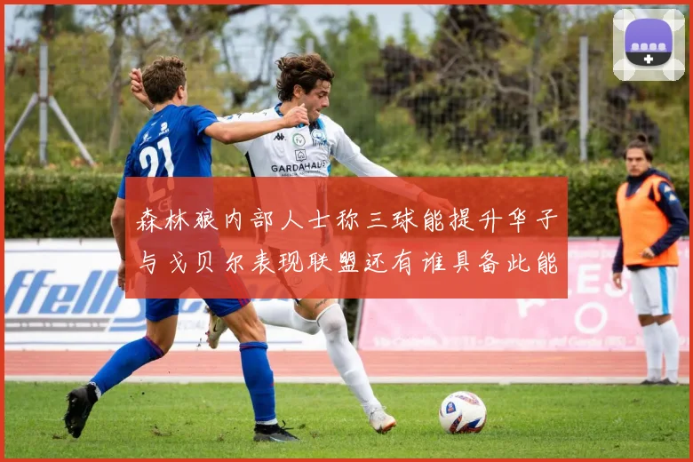 森林狼内部人士称三球能提升华子与戈贝尔表现联盟还有谁具备此能力