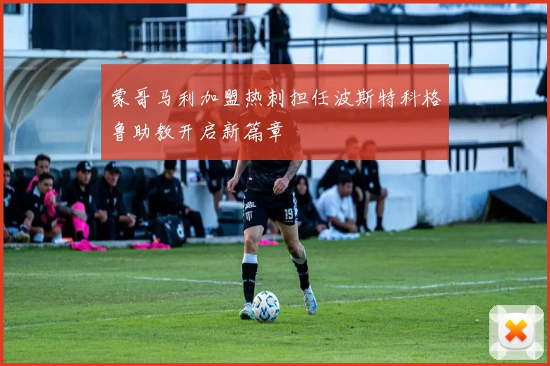 蒙哥马利加盟热刺担任波斯特科格鲁助教开启新篇章